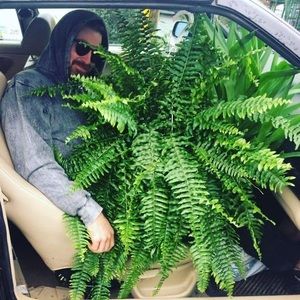 Meet your Posher, Shane